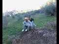 el morako sigue kon sus lokuras