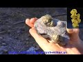 Fools Gold - www.california-gold-rush-miner.us Fools gold, pyrite, looks great in any mineral collection. Here we look at 3 types of pyrite. Besides our real gold nuggets, we have a large selection of golden iron pyrites. If your looking to add to a collection, or for a REAL unique gift, visit us at www.california-gold-rush-miner.us We have gold nuggets, silver nuggets, pyrites, copper nuggets & much more.