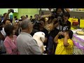 Even our lovely prime minister has been commented and criticized among the news reporters at the moment, he still find some free time joining the recreation cat exhibition. Thank you so much our lovely prime minister Samak Sundaravej for your kindness taking a picture with Toby. One moment of the time of one guy could become the moment of the lifetime of the another guy.I would like to say something for my visitor and friend who have read this passage. Please be reminded that, 
