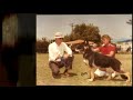 GSD PICTURES GSD PICTURES