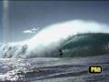 SURF