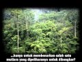 Cerita Tentang MonaVie™ dengan Sarikata Bahasa Malaysia