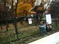 Rollerblading Fence Flop - fence, flop, painful, rollerblader, rollerblading, wtf