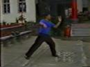 ???????????????????-????(Single Shake Pao Chui-2th Chen Taij