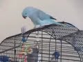 Hoogie & Spike - Episode 2 Hoogie & Spike - Episode 2