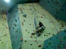 7a+ jaune accm 7a+ jaune accm