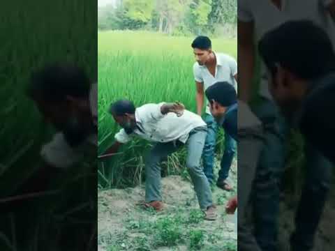 Pół wystraszonej wioski vs gościu. Znalazł w trawie bardzo dziwnego gada