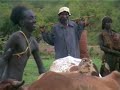 Ethiopia - Bull Jump ceremony around Turmi Ethiopia - Bull Jump ceremony around Turmi