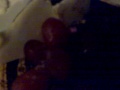 12092009031