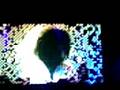 Queen + PR (Argentina) - Bohemian Rhapsody 2 21-11-2008