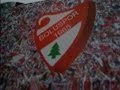 boluspor yarenler