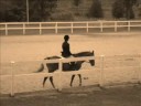 Vermont State 4-H Horse Show HP