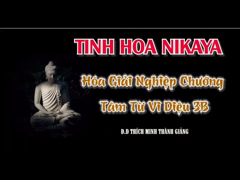 Tinh Hoa NIKAYA – Hóa Giải Nghiệp Chướng Tâm Từ Vi Diệu 3B