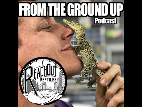 YouTube reptile video