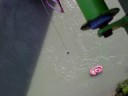 Bungee Jauntal Bungee Jauntal