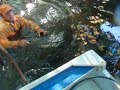 Catch & Release Tarpon Felipe Cuba Catch & Release Tarpon Felipe Cuba