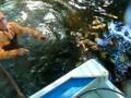 videos de Catch & Release Tarpon Felipe Cuba