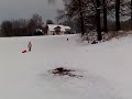 Schlittenhund Teil 1