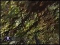 CoD 5 Castle sky walk
