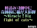 棒読み寸劇中に奇跡的に猫が大喧嘩～Miracle！Big fight of cats～