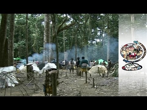 Congo's Tin Soldiers - Democratic ...