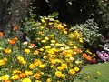 Absolutely Blooming Marvellous
