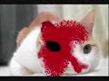 Thumbnail #1