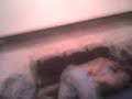 los_cosmikos los_cosmikos