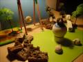 videos de Augusto Monterroso Suslau