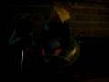 videos de stella et marine