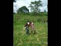 MORE THAN WORDS (RINO VERSION)