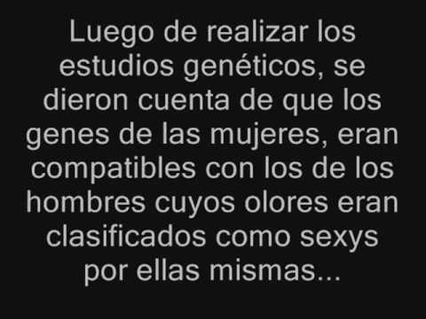 Imagen de previsualización de YouTube