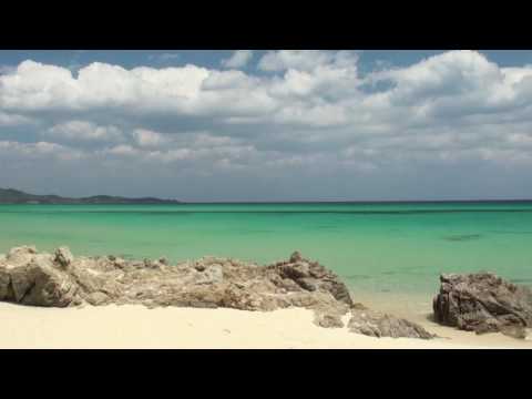 Siglinde Fischer video
