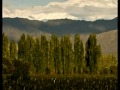 Los sueños no tienen límites :: Finca Propia
