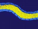 Interaction of Fluids with Deformable Solids