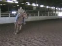 2yr old well bred filly shown loping circles, moving off leg and rein pressure. Rider and Trainer Nicole Torturo has put 23 rides on this filly total. To see more videos go to:www.3drum.com