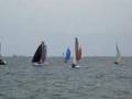 Eurocat 2008