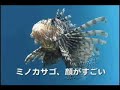 [????????TV] ????????????