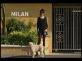 - MovieZen Video