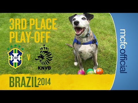 Video: DOUGIE THE DOG PREDICTS | World Cup 3rd Place Play-Off