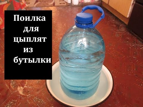 Поилка для цыплят пластиковой бутылки своими руками фото 260