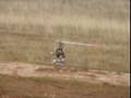 videos de R/C Heli flying @ Mather Field