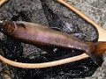 fly Fishing In Japan 2008 annual