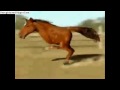 2 leged horse
