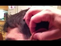IMG 06501