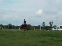 Galloping Murphy!