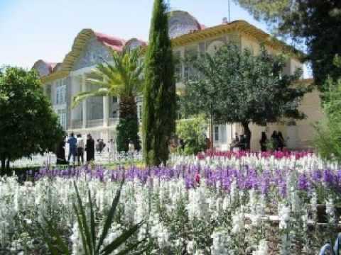 Narges e Shiraz نرگس شیراز