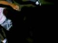 videos de Drii e guii no psy