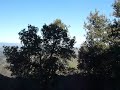 Vistas desde El Rápita