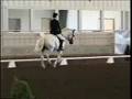 Piloto Do Top at Brasada Test 2 -1